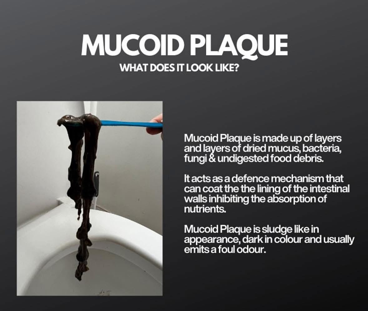 Mucoid Plaque- Parasite Kit- Cellcore