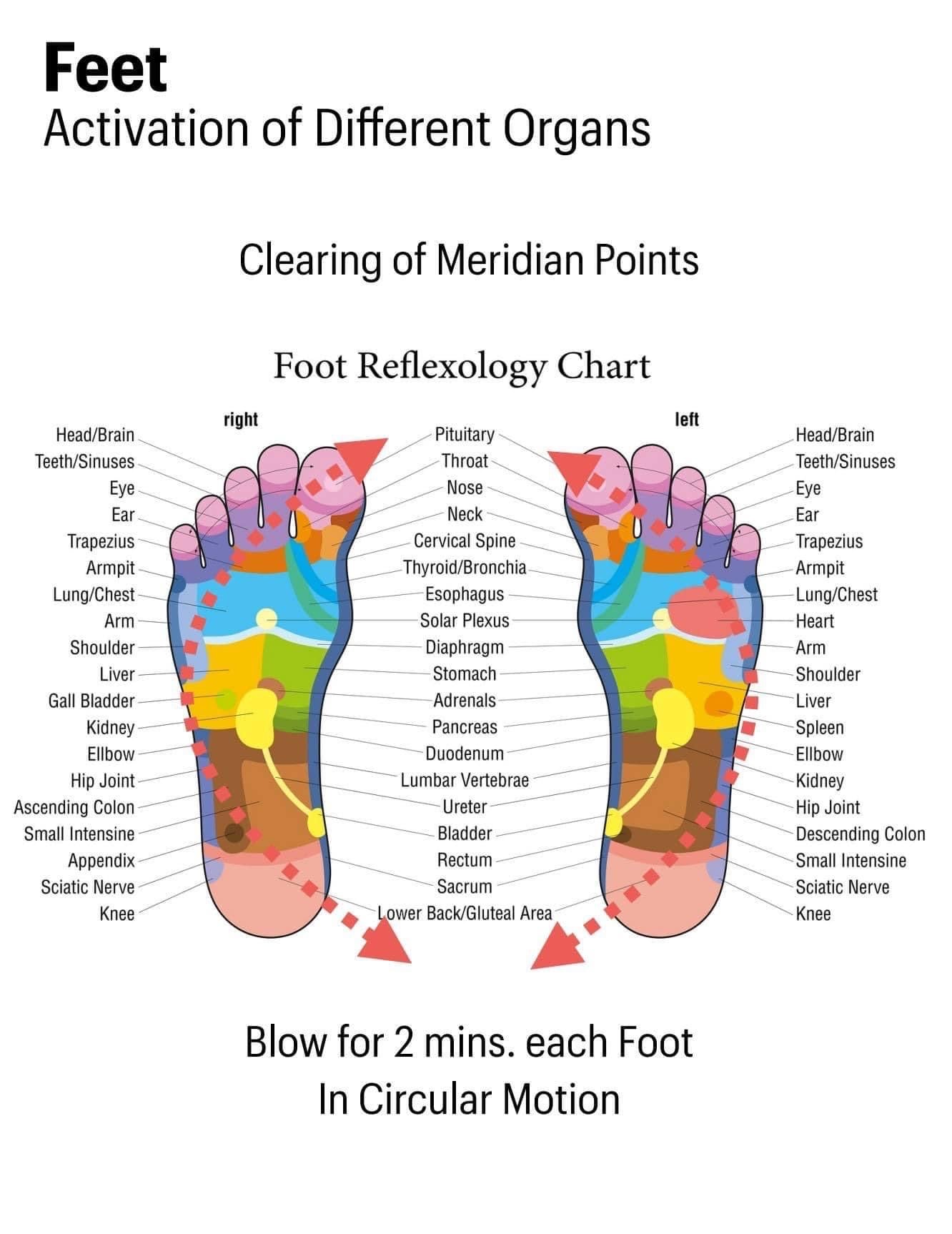 iTera Wand Frequency wand unblocks meridians, passages and vessels and much more!